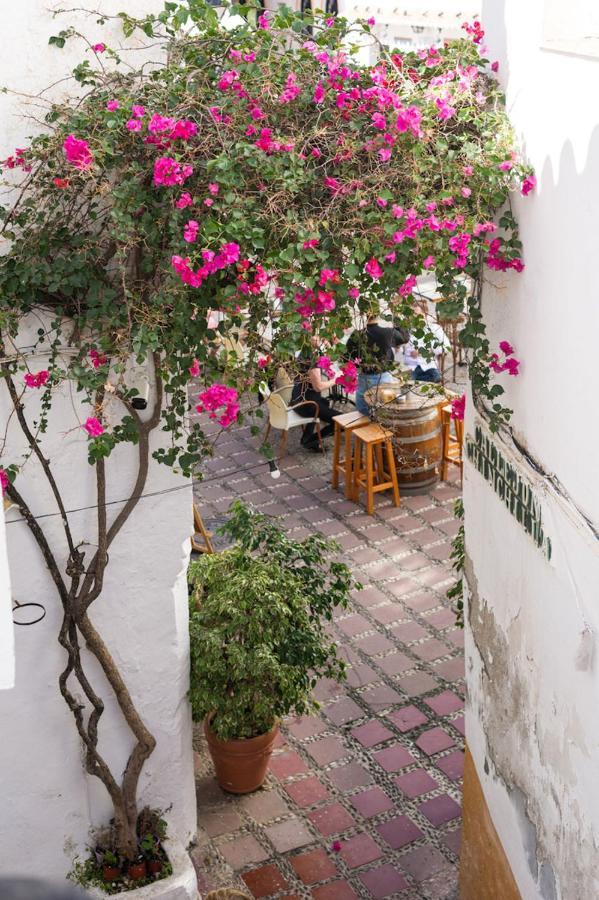 The Farm Lodge Marbella Ngoại thất bức ảnh